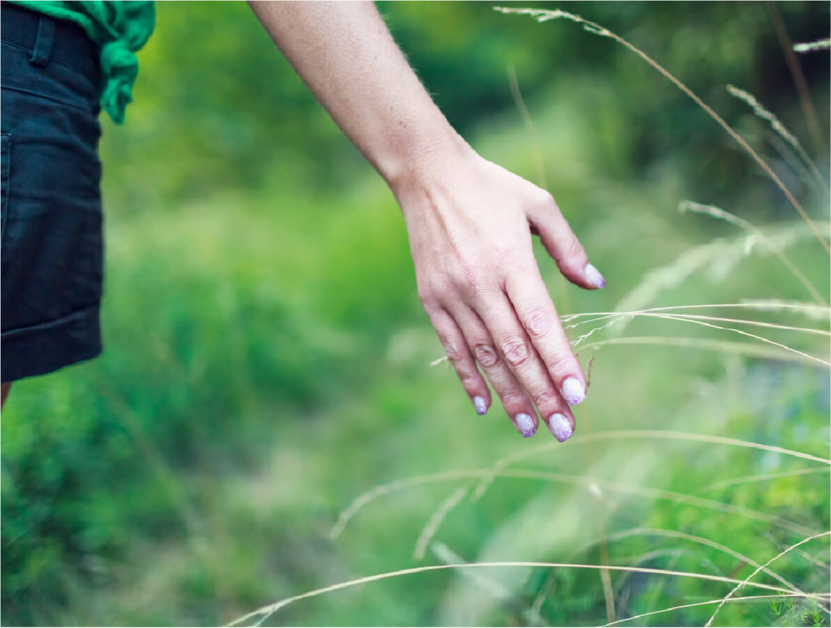 HOW GREEN ARE YOU?